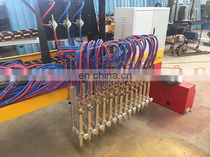 CNC Gas metal cutter 3060 gas cutting machine
