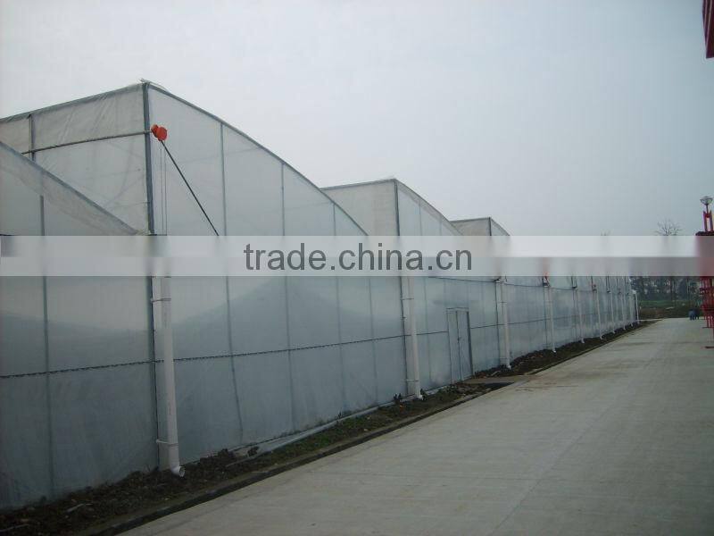 multi span plastic film greenhouse ventilation