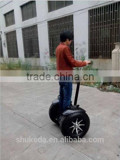 2000W Big wheel self-electric chariot