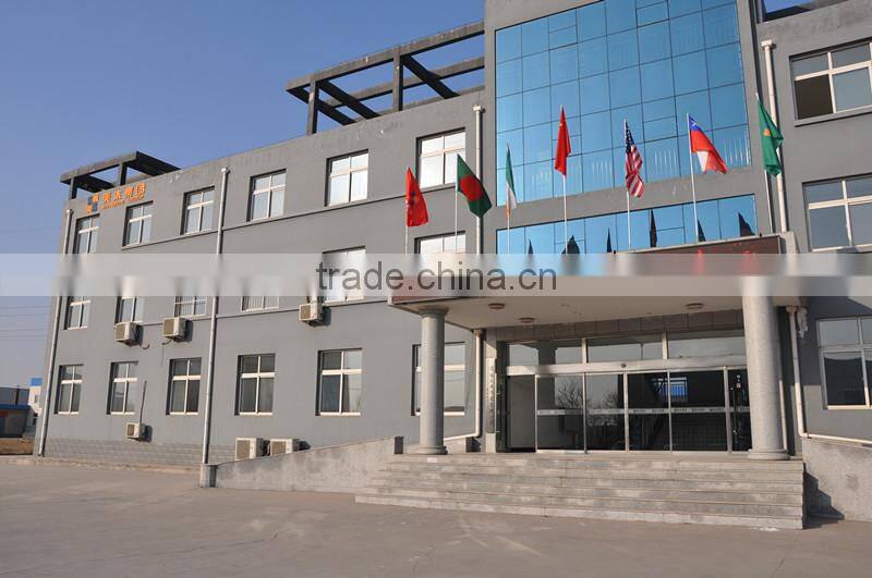 2016 hot 2T High quality gasoline cargo tricycle for Africa market