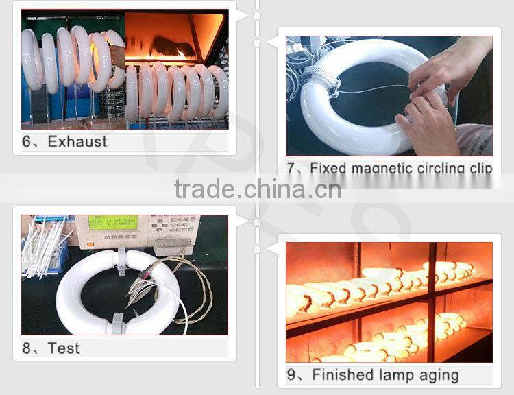 For sale hydroponic medical plant bi-spectrum induction grow light 300w