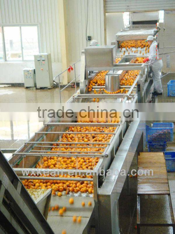 Turnkey project professional industrial orange juice production machinery