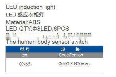 Induction wardrobe LED light
