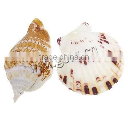 36.5-55mm Helix Natural Freshwater Shell Pendants