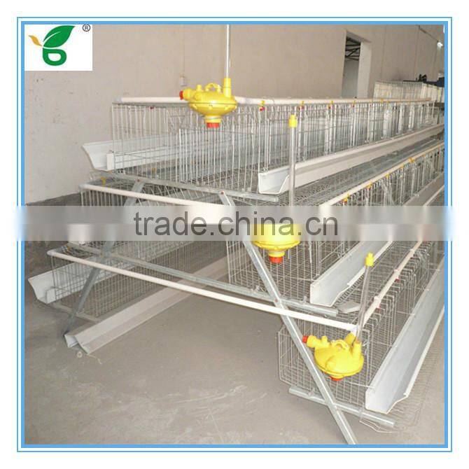high efficiency automatic egg collection system
