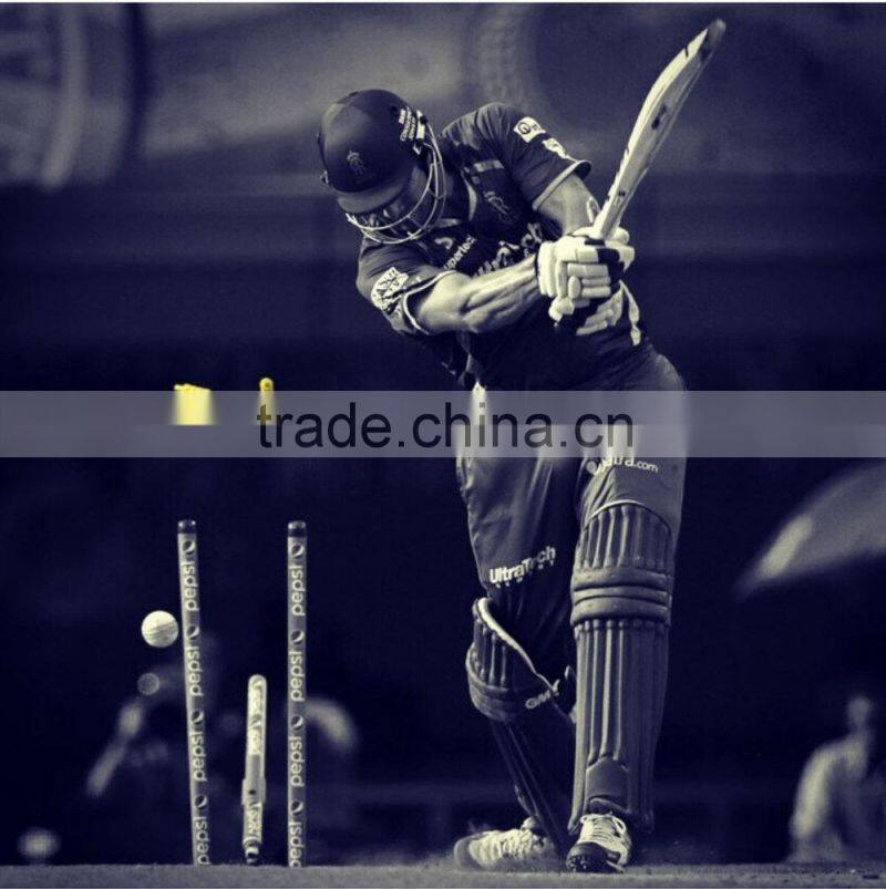 Custom sublimated cricket merchandise
