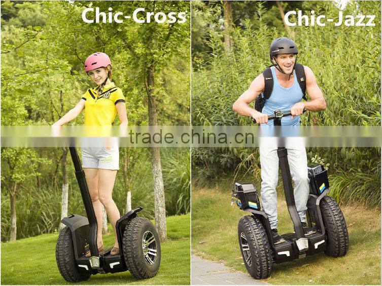 2016 NEW Product CHIC GOLF gas scooter stand up