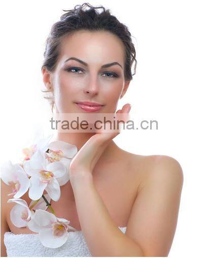 Medical CE Approval 540 Needles Derma Roller with Low Price