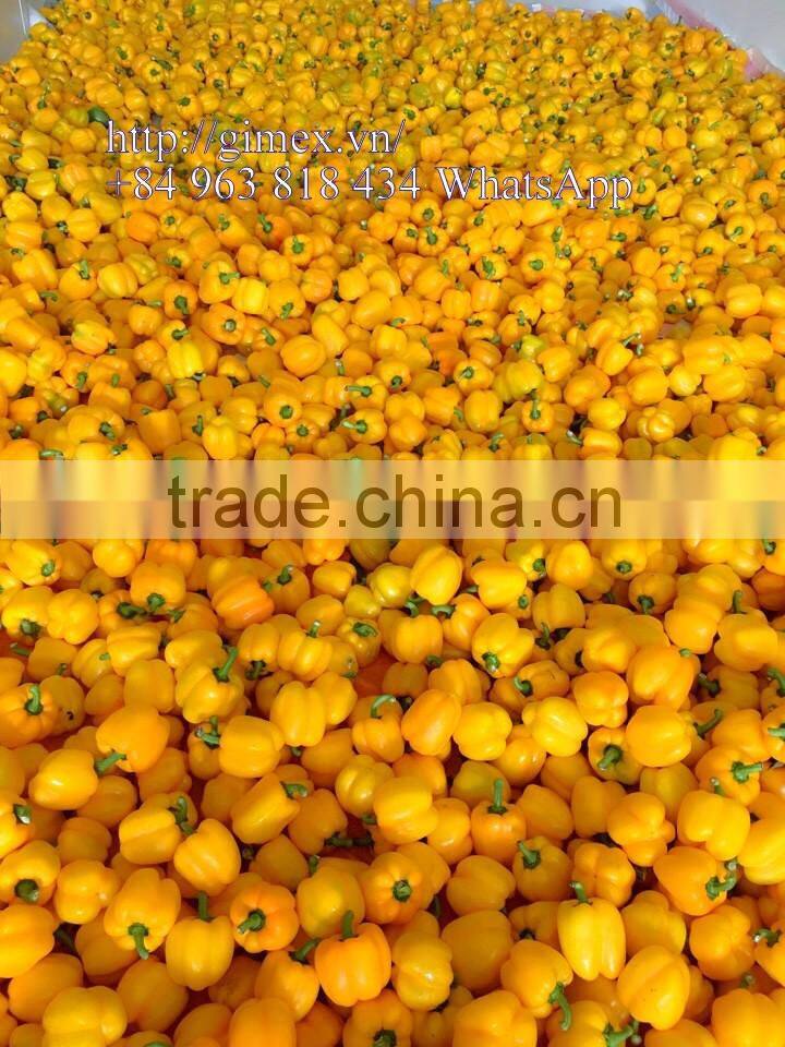 FRESH SWEET PEPPER / BELL PEPPER +84963818434 whatsapp