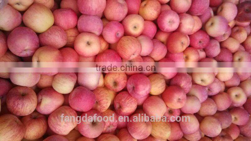 Cold storage fresh apple/low price