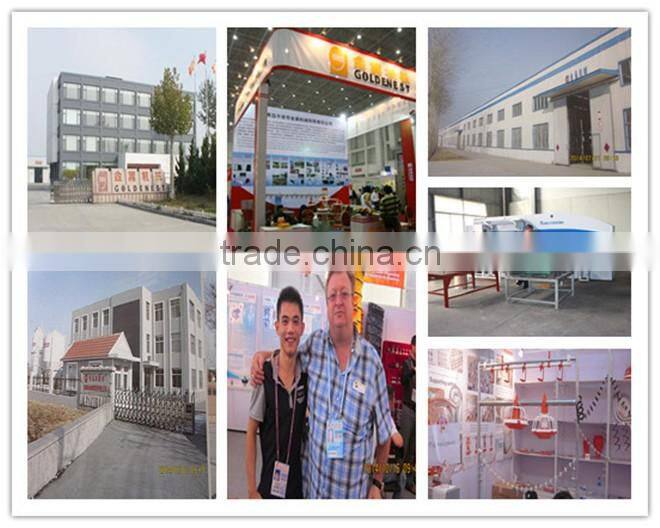 Broiler Feeding Pan system for Poultry Equipment Auger feeder in Brioler Farm