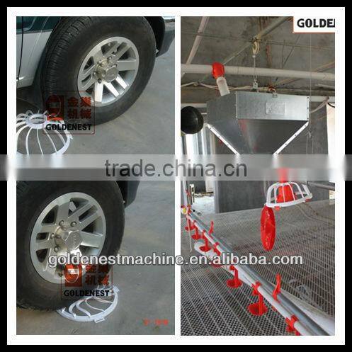 chicken feeding and drinking system
