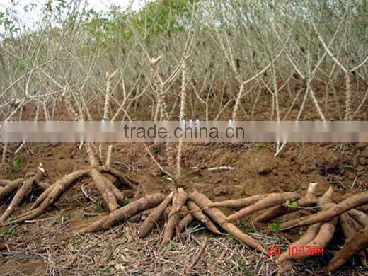 Hot sale cassava harvester, cassava harvesting machine for sale