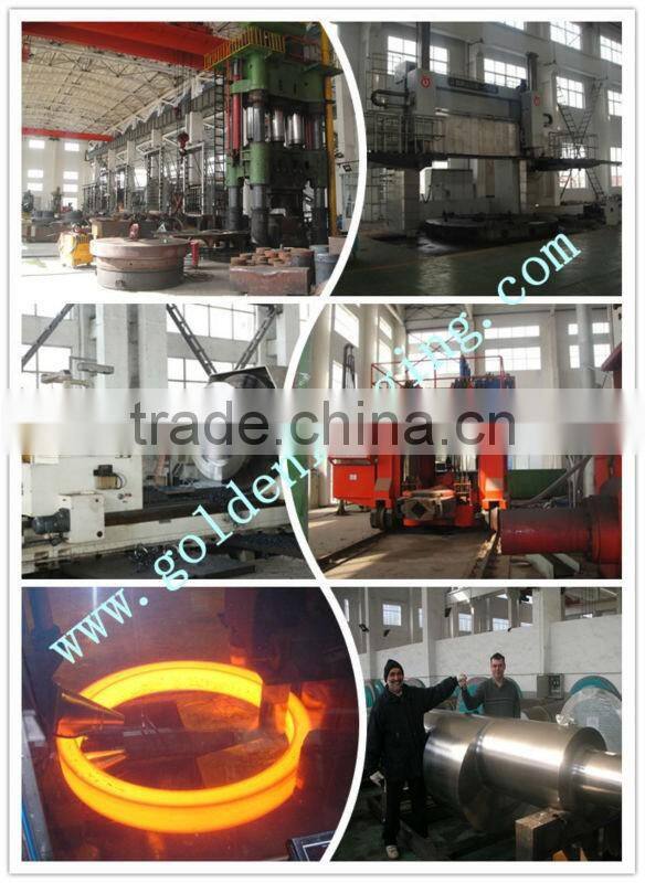 Parts 304H 1025 stainless steel flange 0Cr18Ni9 pipe 304 310 316L large flange din pn16