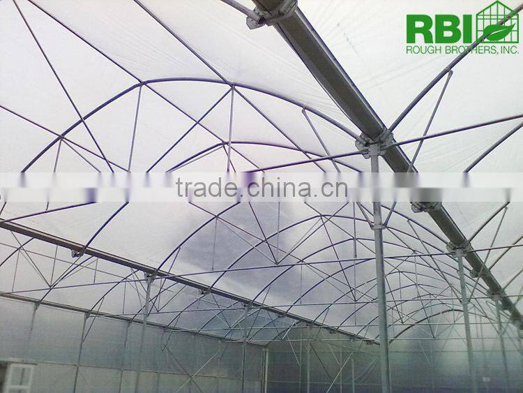 Vegetable commercial film low cost greenhouse multi span high quality for agriculture