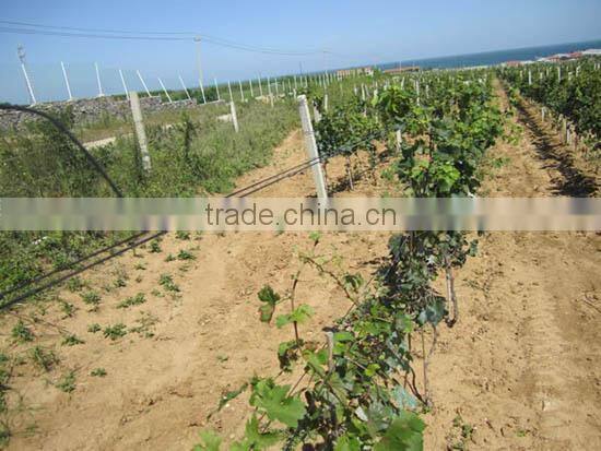 Transparent and black wire 2.0MM 2.5MM 3.0MM 3.5MM polyester monofilament wire, screening wire for greenhouse shading system