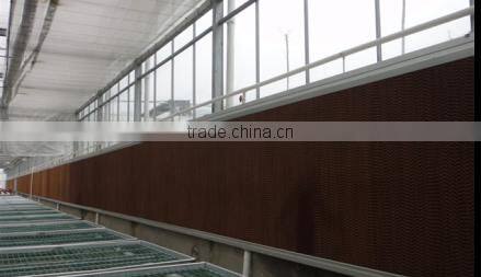 Customized Plastic Film Tunnel Greenhouse for US Market