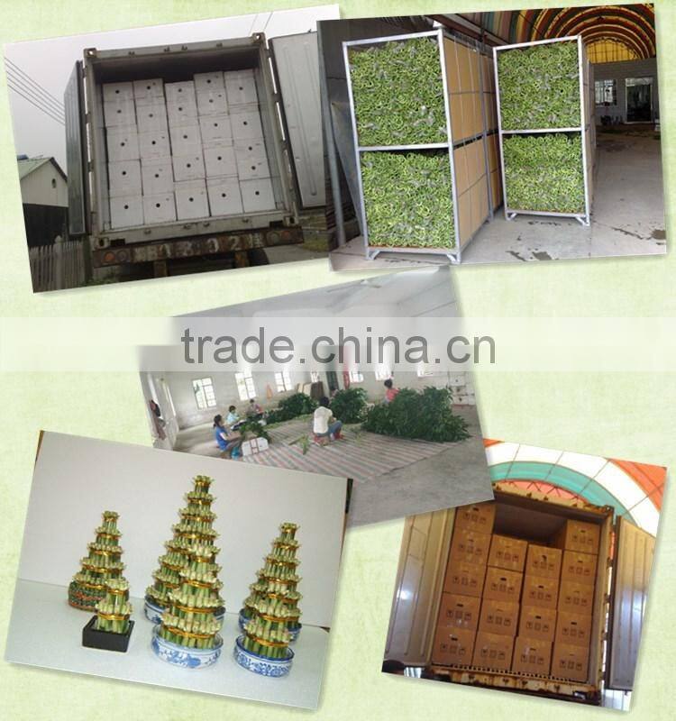 Ceramic pot for Bonsai