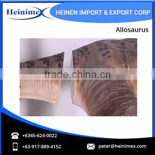 Huge Size Jurassic Park Dinosaur Allosaurus for Sale