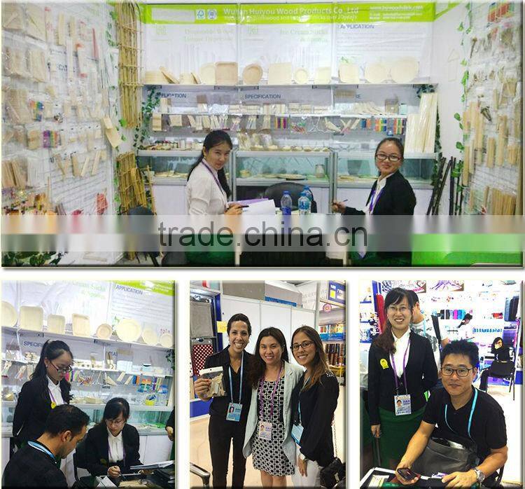 Biodegradable Disposable Wooden Cutlery ,Disposable Bamboo Cutlery