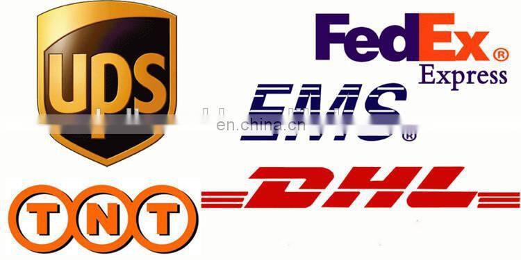 Halloween Skulls Festive Collar