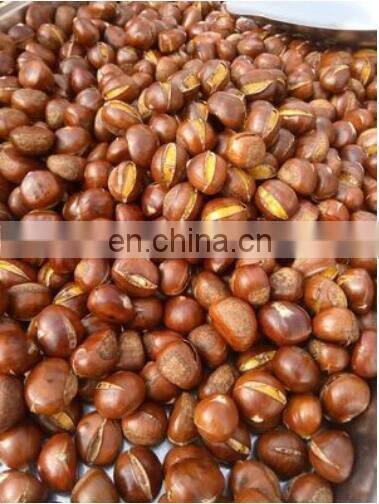 Multifunctional Stainless Steel Peanut Walnut roasting machine