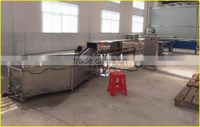 10000pcs/h egg brush washer egg processing machine , egg cleaning candling machine ,