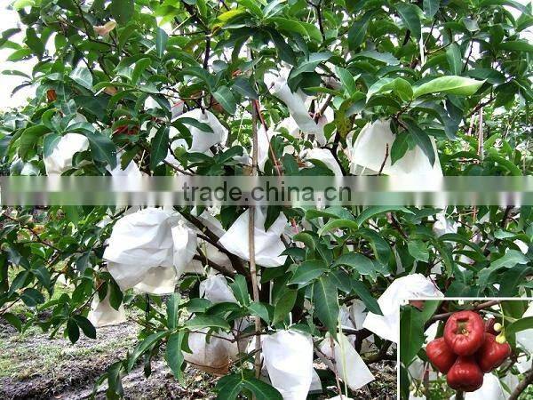 nonwoven easy vegetable cover