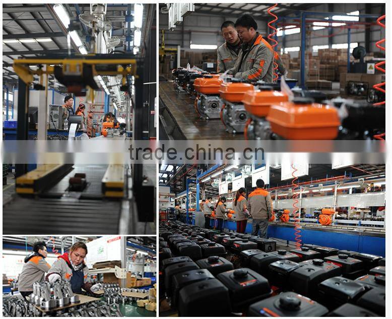 OEM portable air-cooled 4 stroke OHV single cylinder BS170F/P gasoline engine