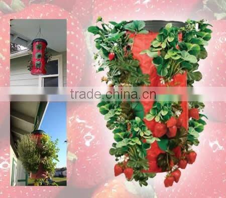 Plastic Vertical Wall Planter, Durable Hanging Wall Planter Bags,Hanging Wall Grow Bags With Pocket For Herb/Flower
