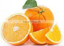 Aroma Sense Shower Head/Vitamin C Shower Head/Spa Shower Head/Spa Shower