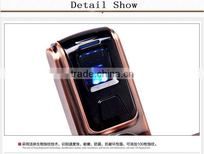 Electric Panel Door Lock For Apartment