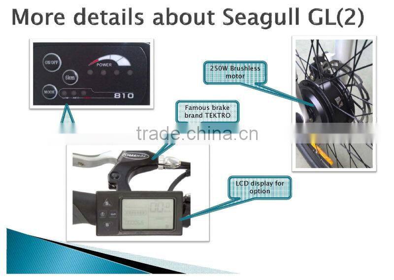 26inch electric bike battery box,electric bike lowest price,full suspension titanium mountain bike