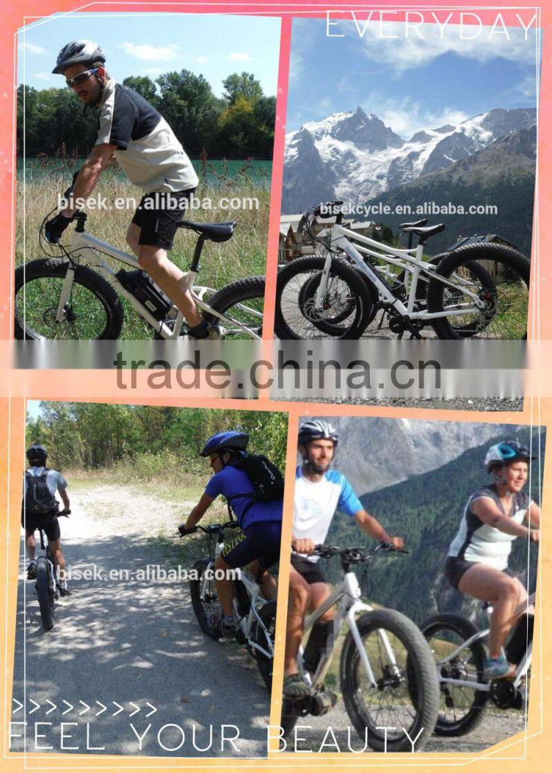 mid bafang motor k1 e bike fat electric bike pedal power