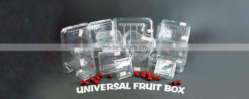 Professional custom made clear blister fruit packaging