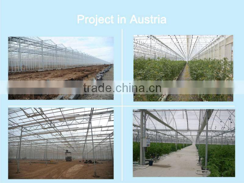 plastic film greenhouse Polyethylene film multi span agriculture greenhouse