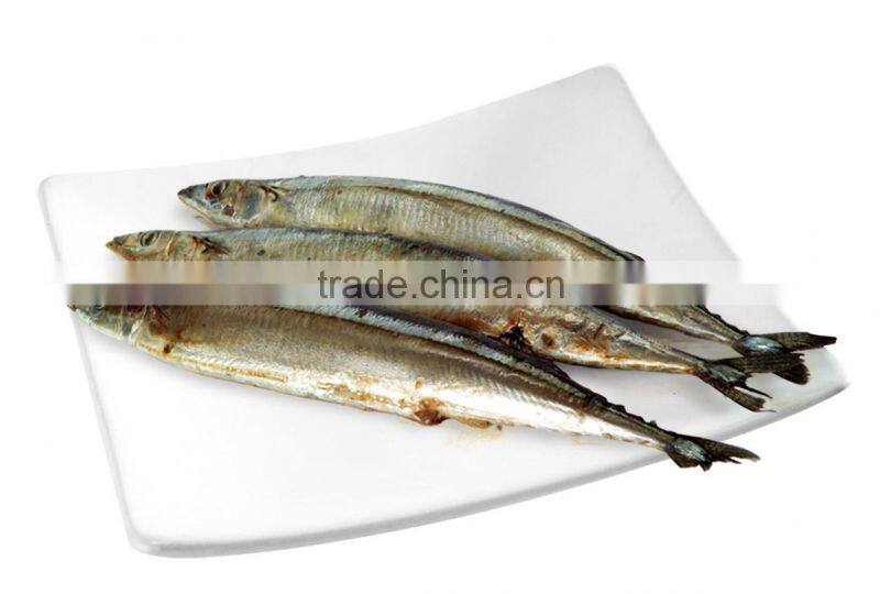Frozen Saury