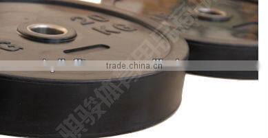 2013 Rubber Barbells