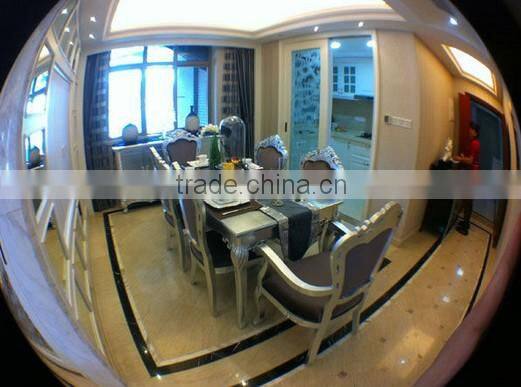 H8002 circle fisheye lens for smartphone