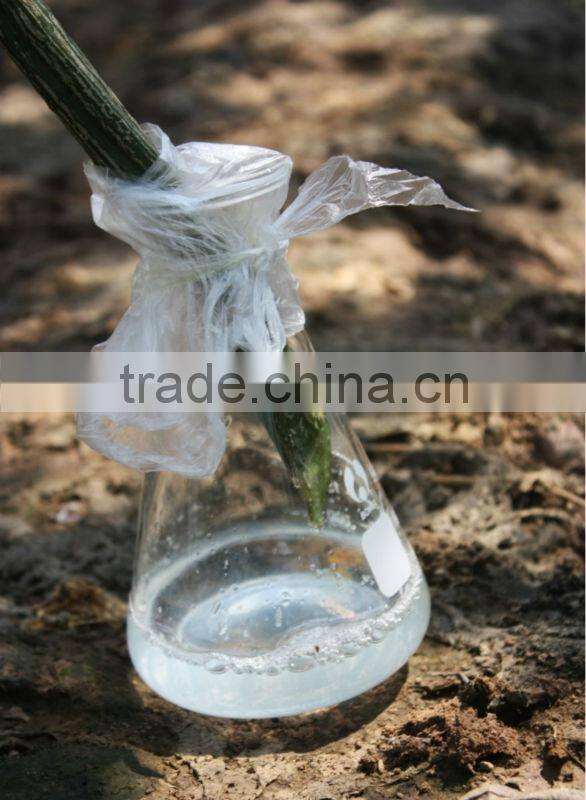 pure natural loofah water