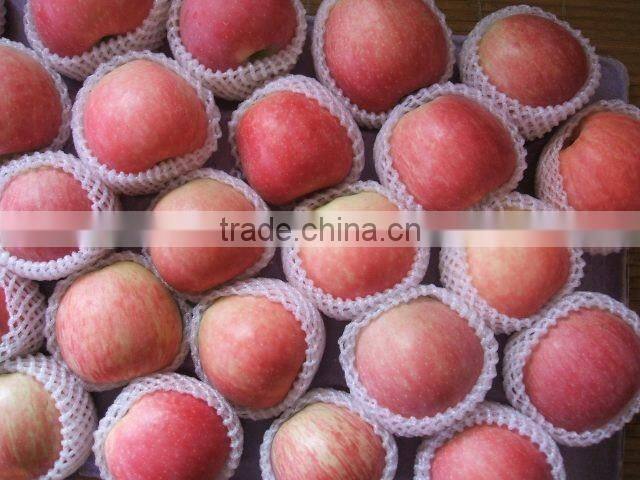 Fuji Apple/Fresh Apples/70MM, 75MM, 80MM,85MM UP