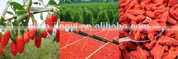 2016 new crop ningxia goji berry price