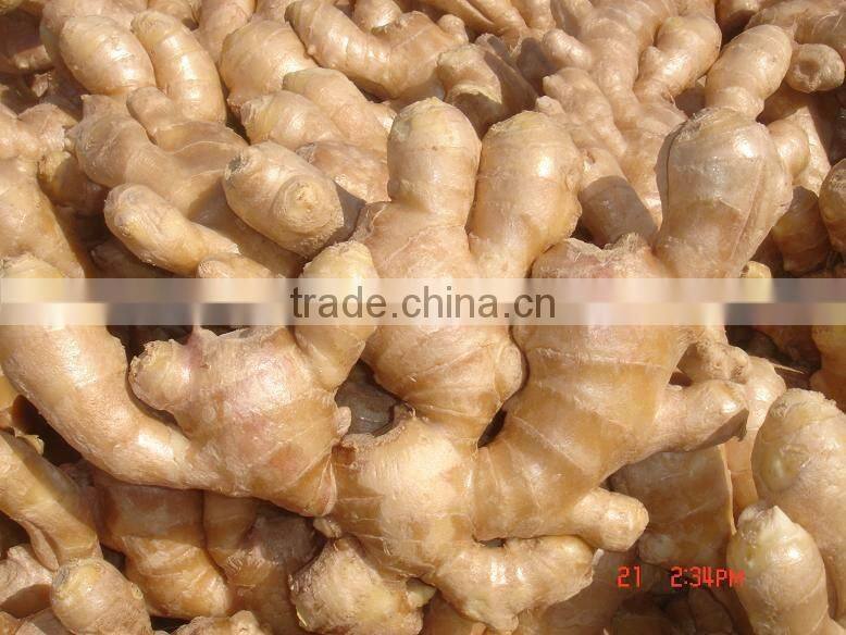 Organic fresh ginger