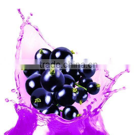 Bilberry Extract / Bilberry P.E / Bilberry powder with free sample CAS NO 84082-34-8