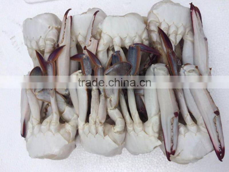 Frozen Blue Swimming Crab for hot sale