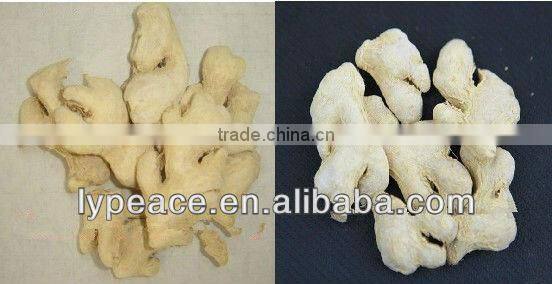 2012 dried ginger powder for export
