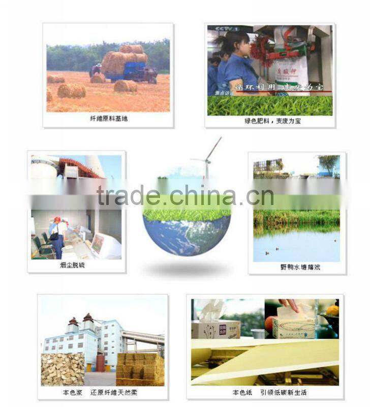 Natural Virgin Healthy Cored Toilet Tissue Paper