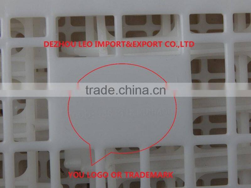 foldable plastic crate for chicken for sale