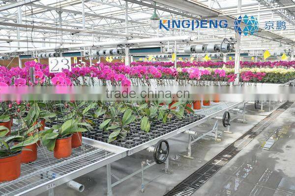 Vegetable Growing Greenhouse