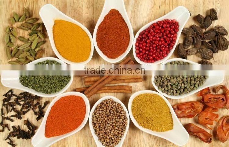 WF Series Dust Collecting Fine Crusher Set, Salt Crusher Machine
